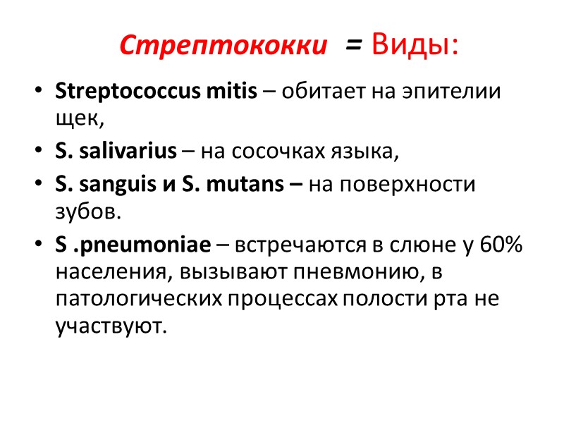 Стрептококки  = Виды:    Streptococcus mitis – обитает на эпителии щек,